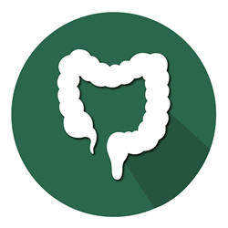 دكتور رائد - القولون